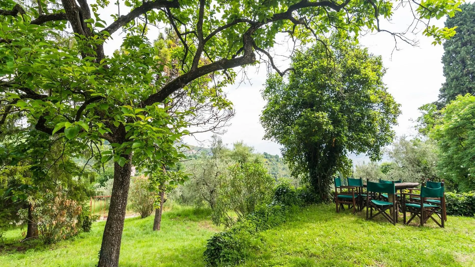 Belvilla By Oyo Plush Farmhouse With Swimming Pool Carmignano Italy